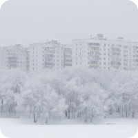 Основы фотографии. Новогодний интенсив